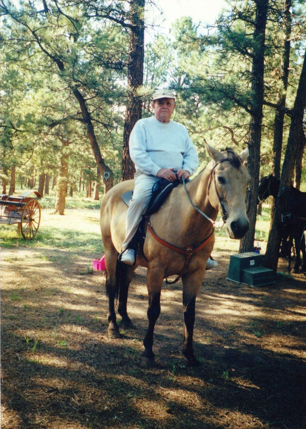 Vernon Alfred Hatch: August 2001