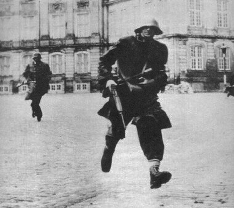 Danish Civil Defense - Danish Resistance M1 Carbine