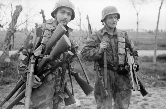 German Soldiers with American Weapons